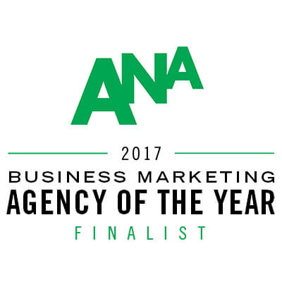 schermer-ana-agency-year-2017